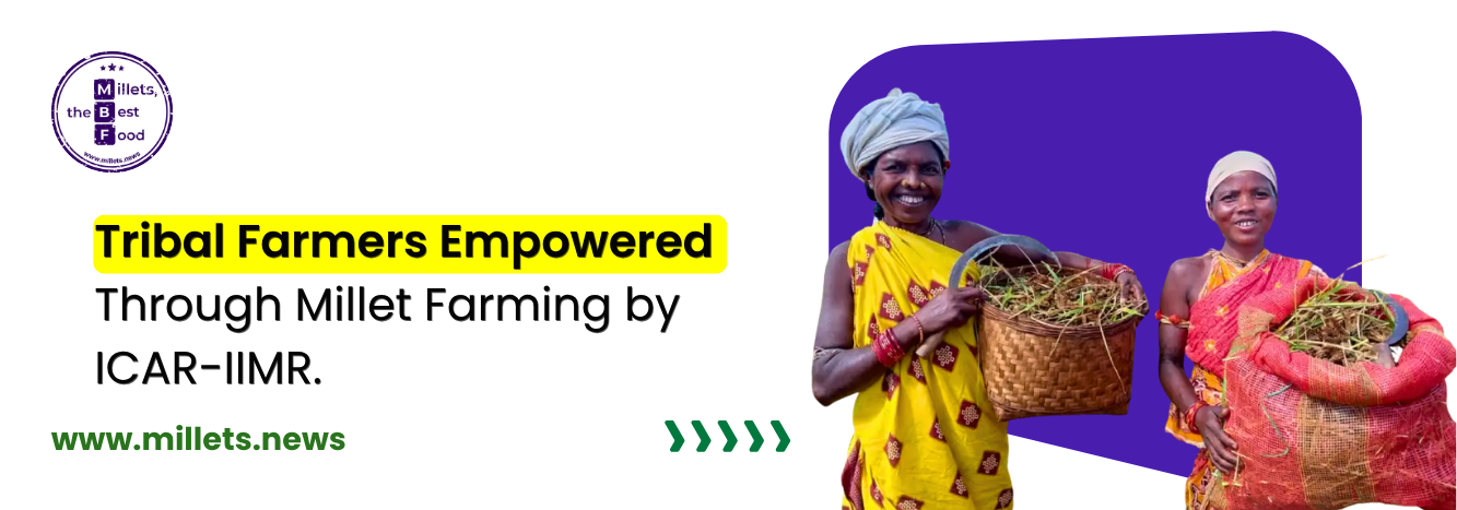 Tribal Farmers Empowered Through Millet Farming by ICAR-IIMR 