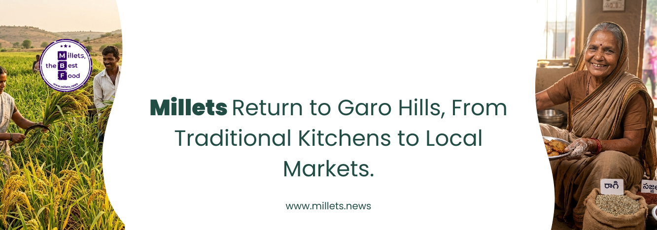Millets Return to Garo Hills, From Traditional Kitchens to Local Markets
