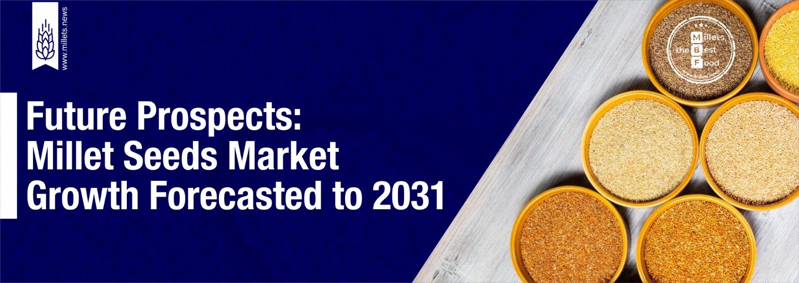 Future Prospects: Millet Seeds Market Growth Forecasted to 2031