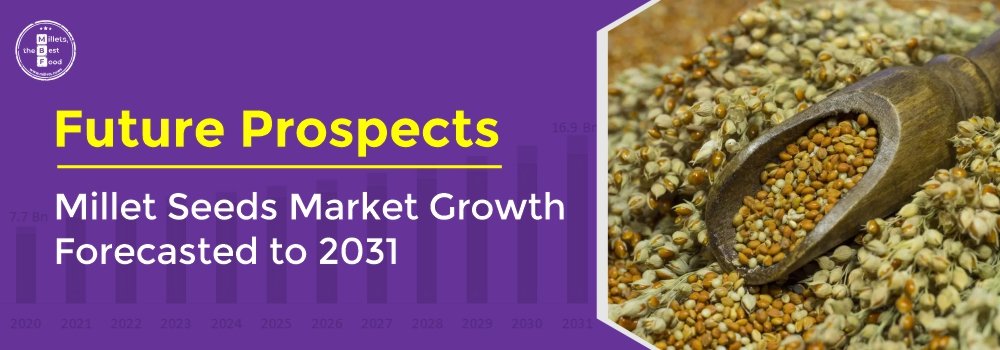 Future Prospects: Millet Seeds Market Growth Forecasted to 2031
