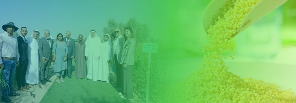 ICBA Inaugurates Millet Demo Farm to Promote Sustainable Agriculture and Food Security