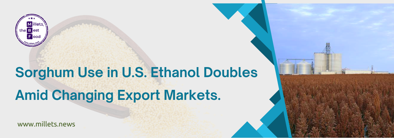 Sorghum Use in U.S. Ethanol Doubles Amid Changing Export Markets 