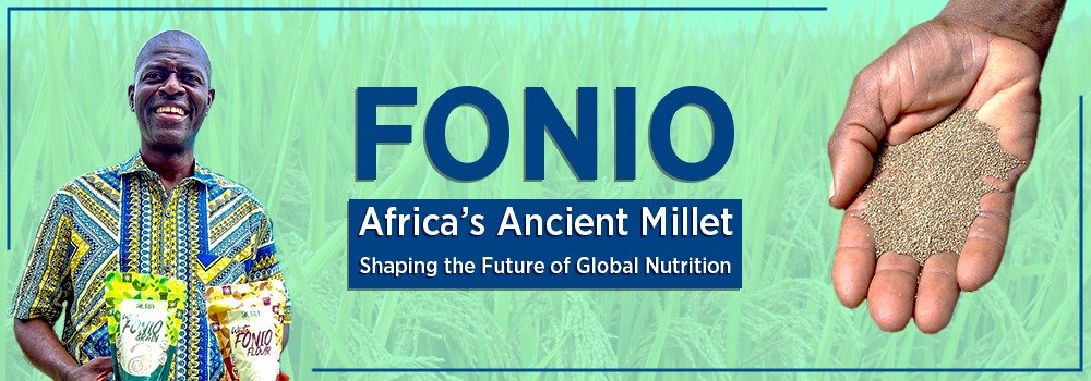 Fonio: Africa’s Ancient Millet Shaping the Future of Global Nutrition