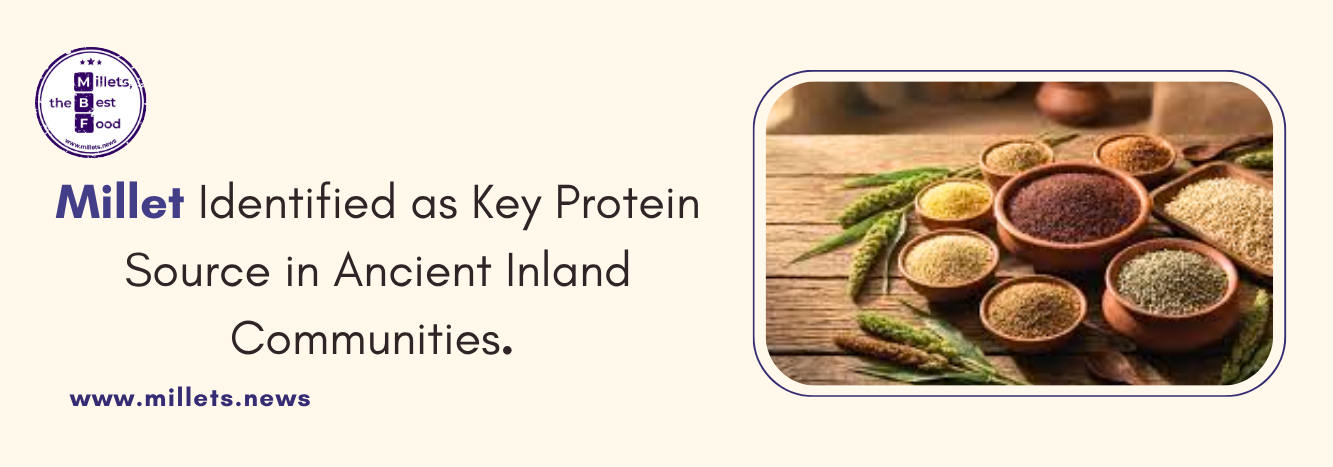 Millet Identified as Key Protein Source in Ancient Inland Communities 