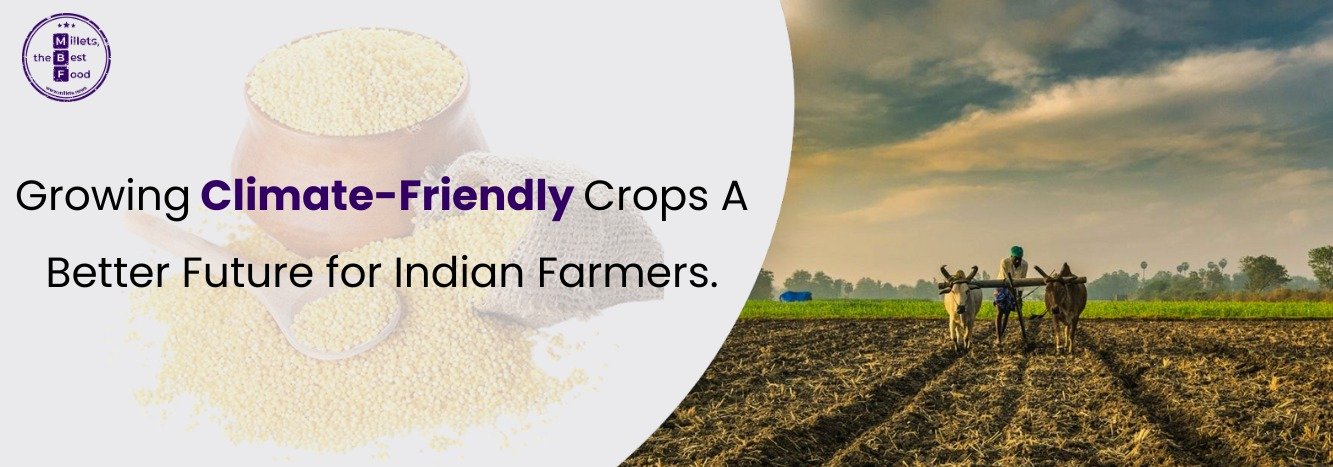 Growing Climate-Friendly Crops: A Better Future for Indian Farmers