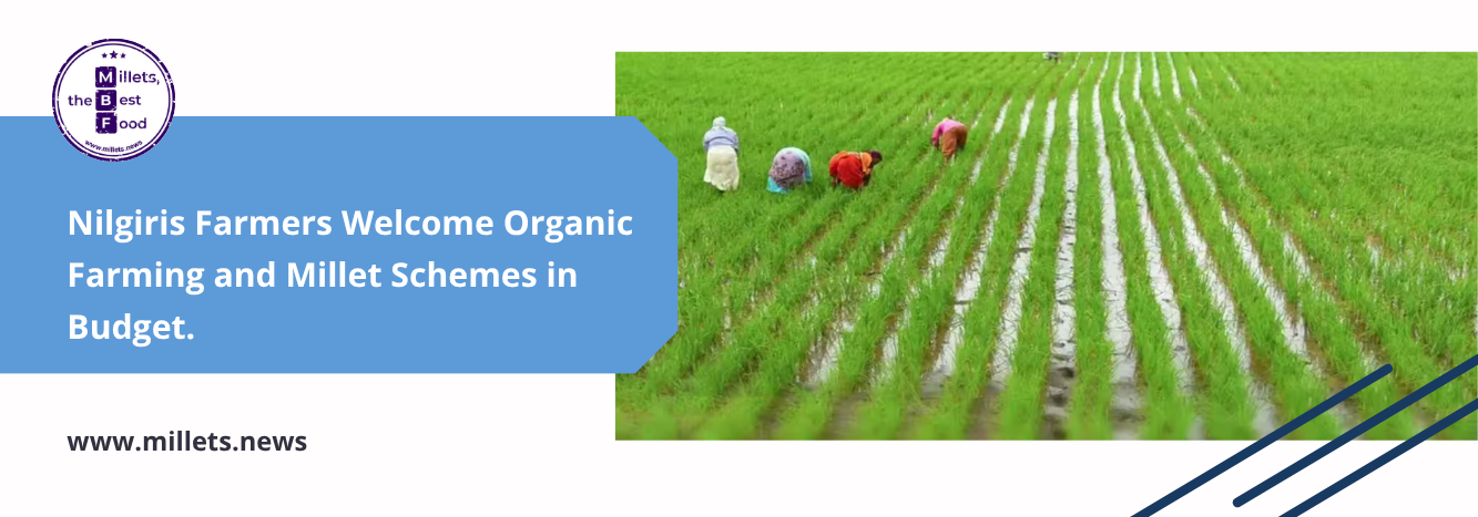 Nilgiris Farmers Welcome Organic Farming and Millet Schemes in Budget