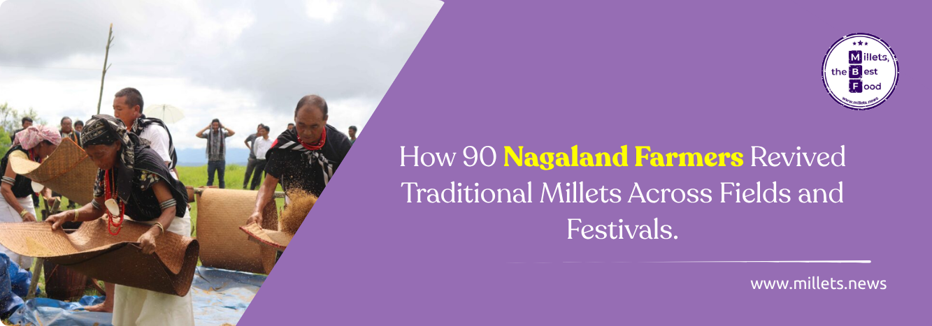 How 90 Nagaland Farmers Revived Traditional Millets Across Fields and Festivals