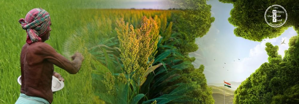  India is the number one producer of millets.