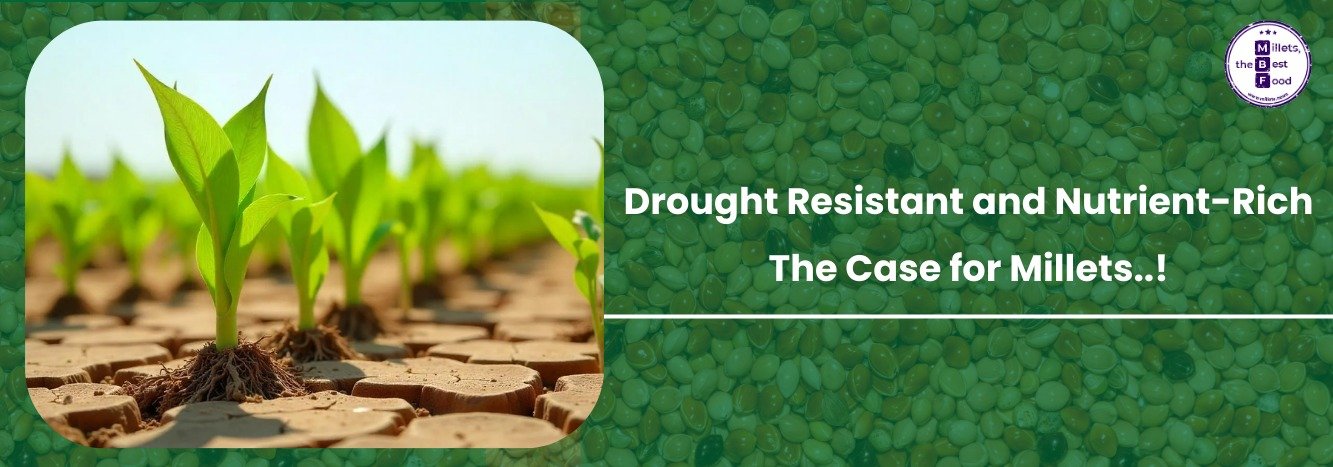 Drought Resistant and Nutrient-Rich: The Case for Millets