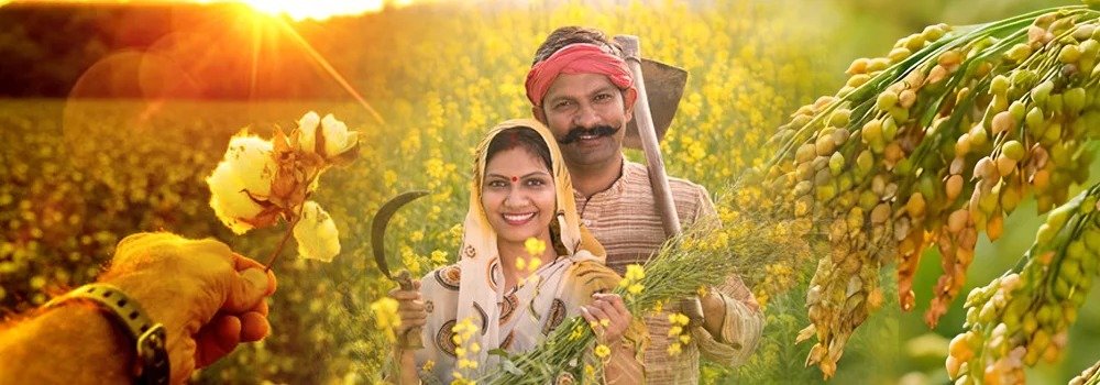 Cotton farmers who are inclined towards growing millets