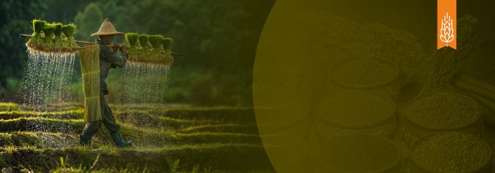 From Soil to Supper: A Workshop on Organic Farming and Millets