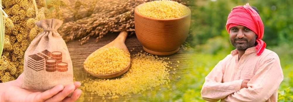Rising millet prices, happiness among farmers