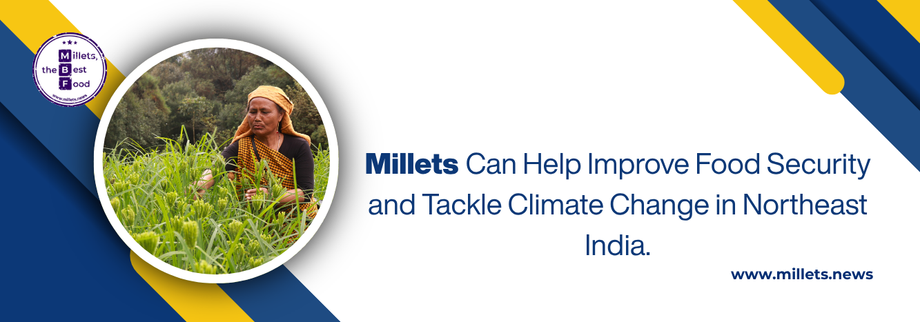 Millets Can Help Improve Food Security and Tackle Climate Change in Northeast India