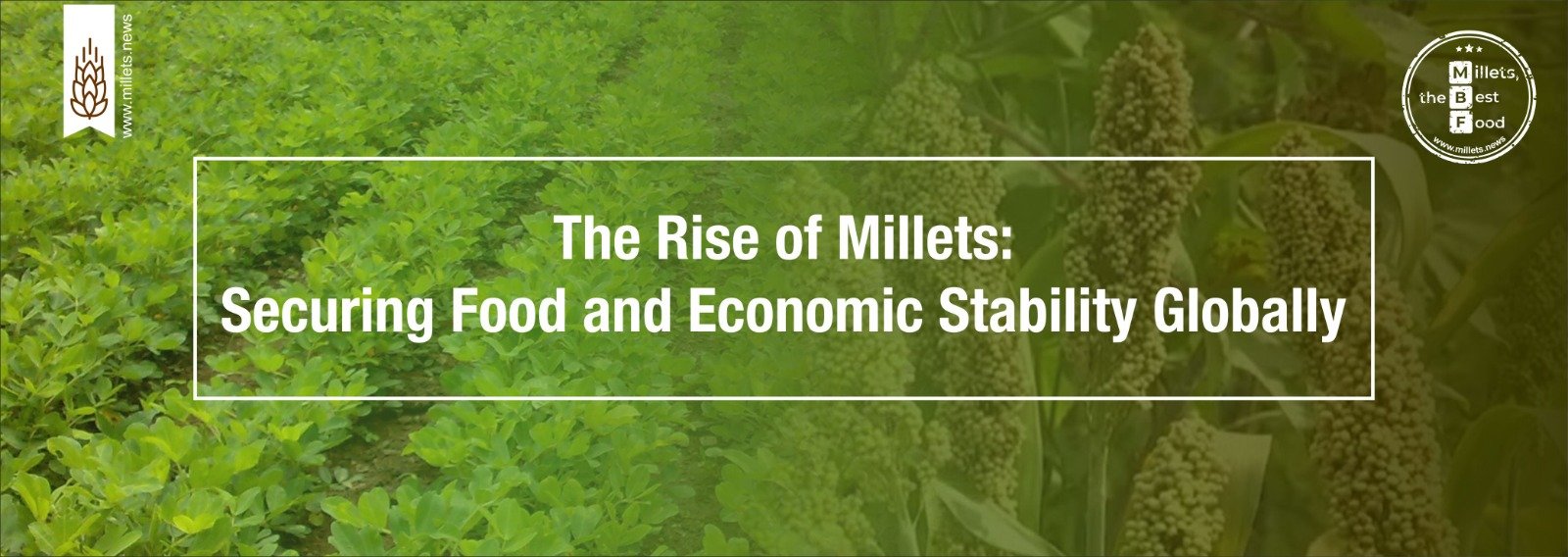 The Rise of Millets: Securing Food and Economic Stability Globally