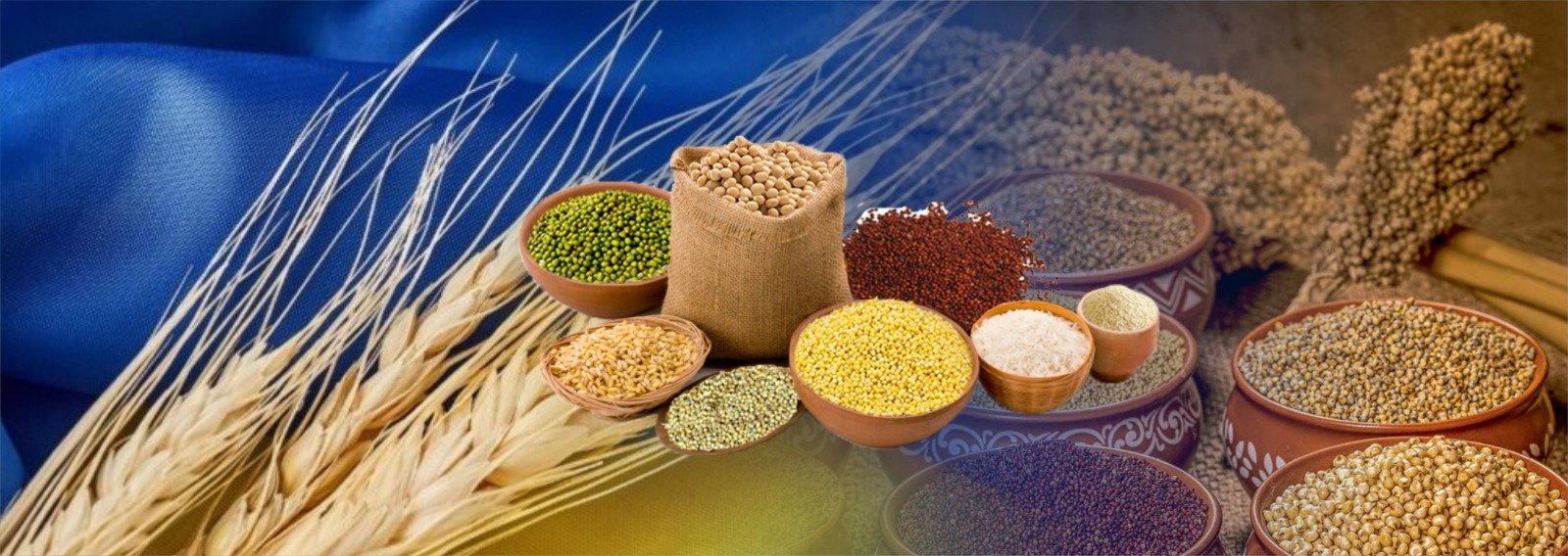 Resurgence of Millets Kupvi's Sustainable Agriculture Project under MGNREGA
