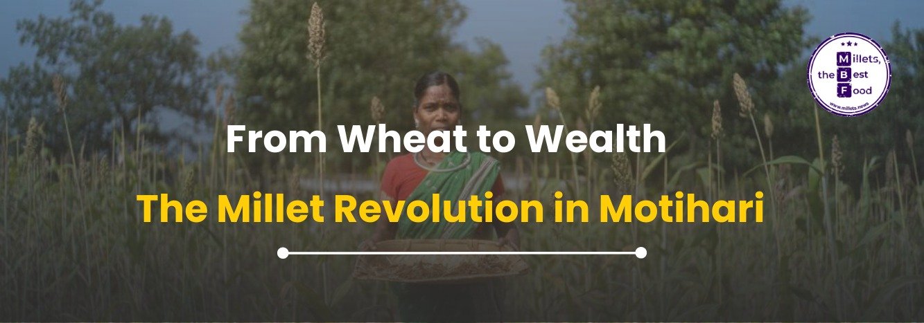 From Wheat to Wealth: The Millet Revolution in Motihari