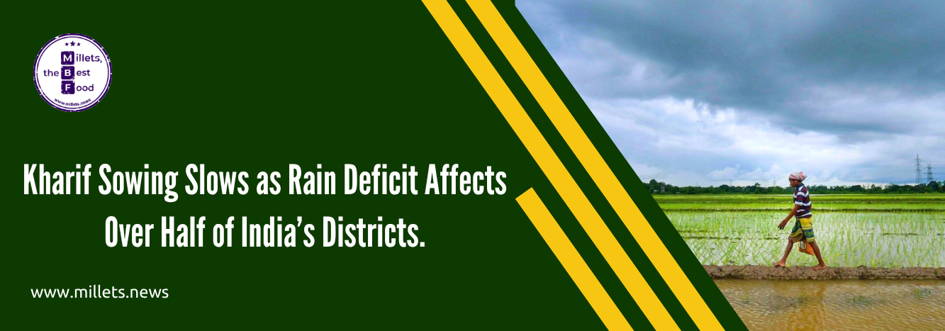 Kharif Sowing Slows as Rain Deficit Affects Over Half of India’s Districts