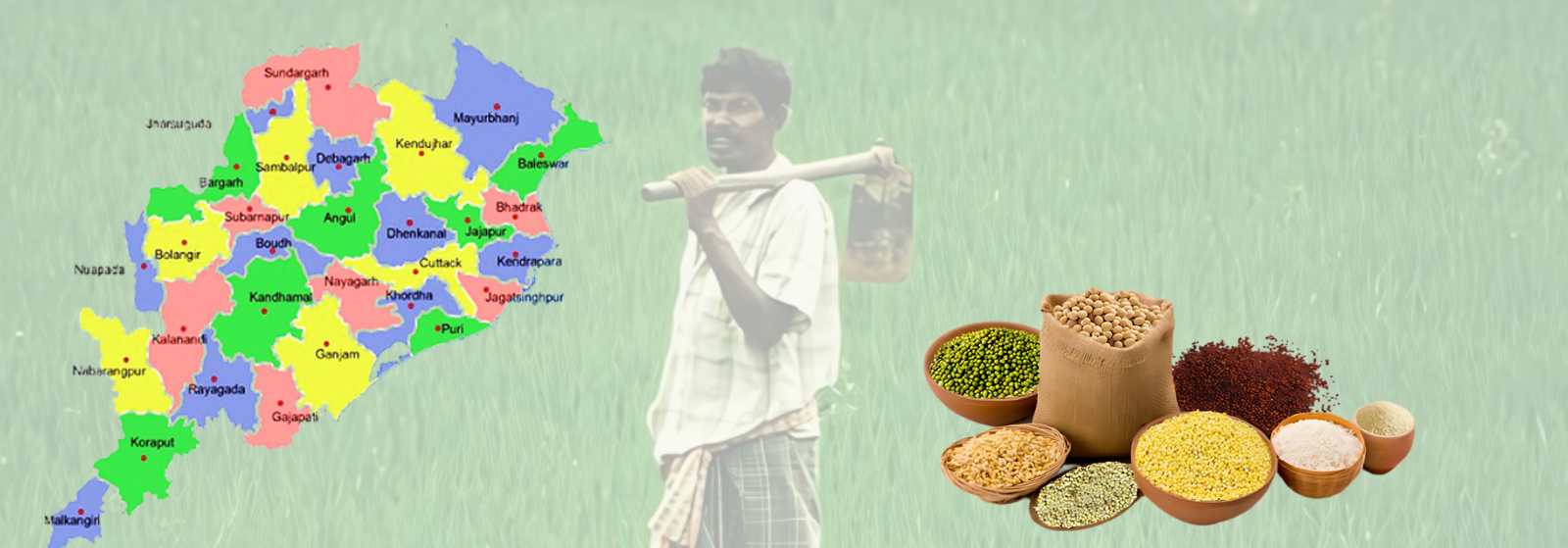Analysis: Why Odisha's Crop and Pulse Yields Fall Below National Standards