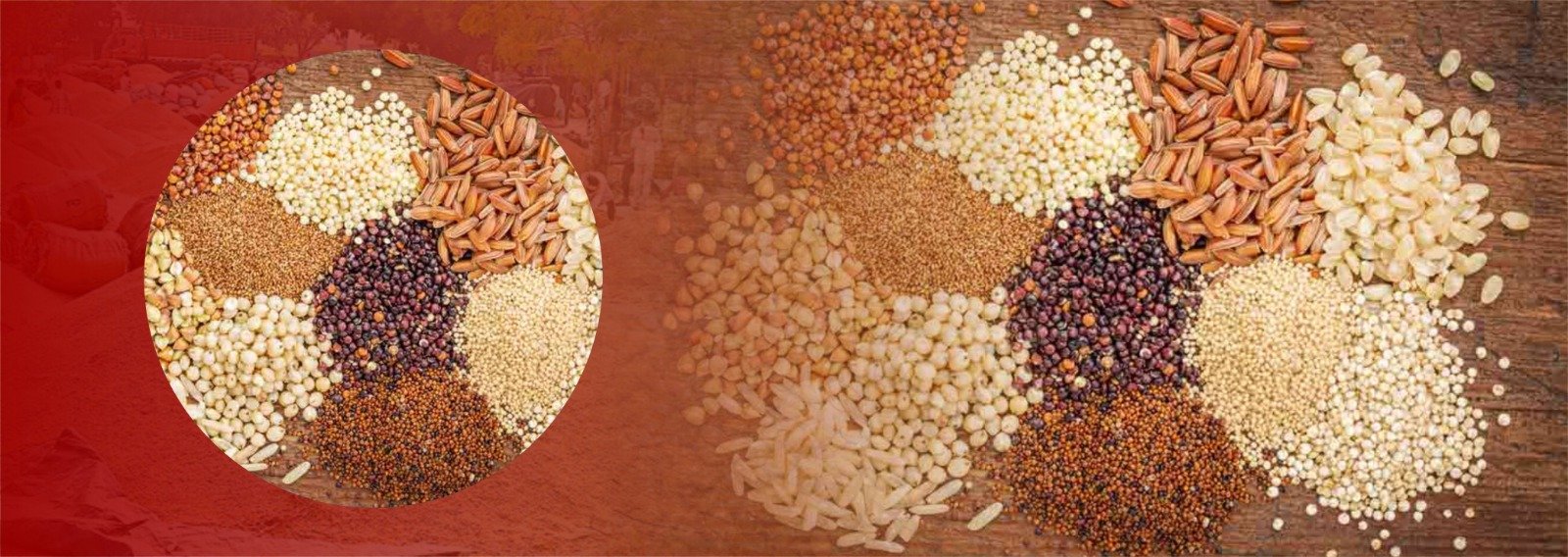 The Millet Renaissance: Embracing Ancient Grains in the Millennial Era