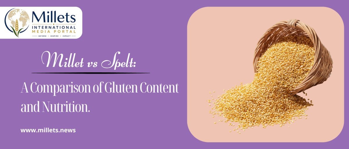 Millet vs Spelt A Comparison of Gluten Content and Nutrition