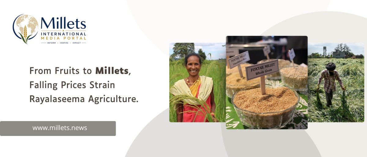 From Fruits to Millets, Falling Prices Strain Rayalaseema Agriculture
