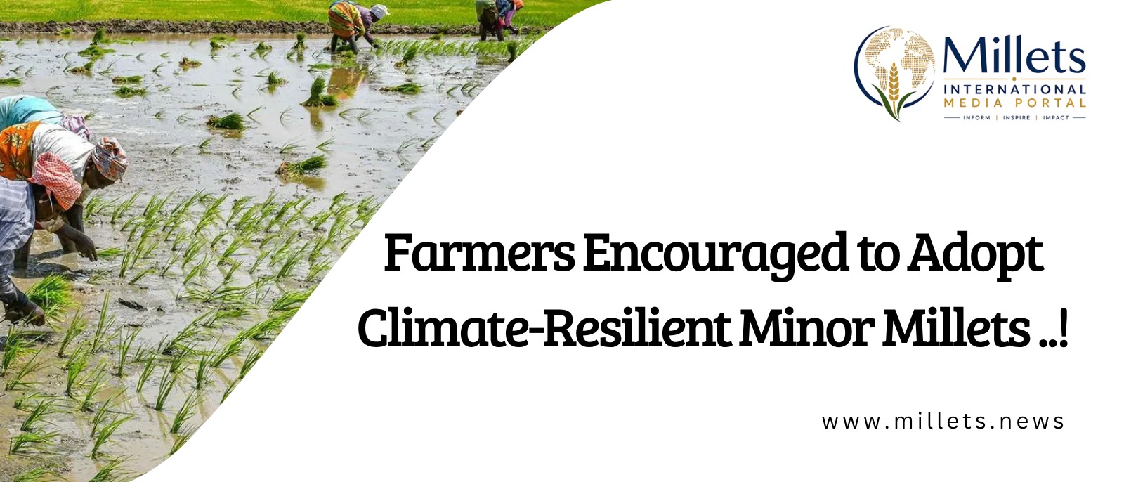 Farmers Encouraged to Adopt Climate-Resilient Minor Millets