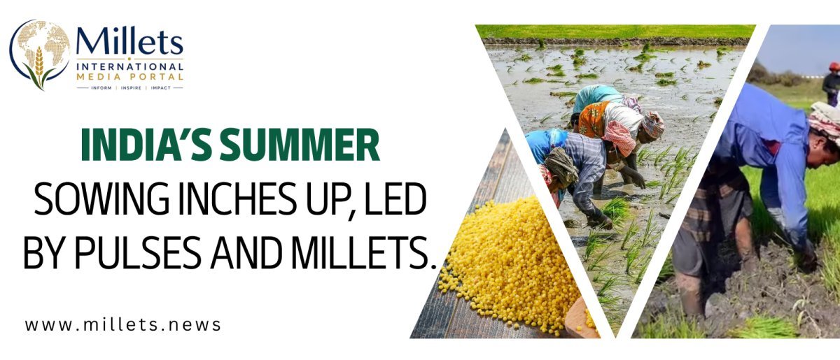 India’s Summer Sowing Inches Up, Led by Pulses and Millets