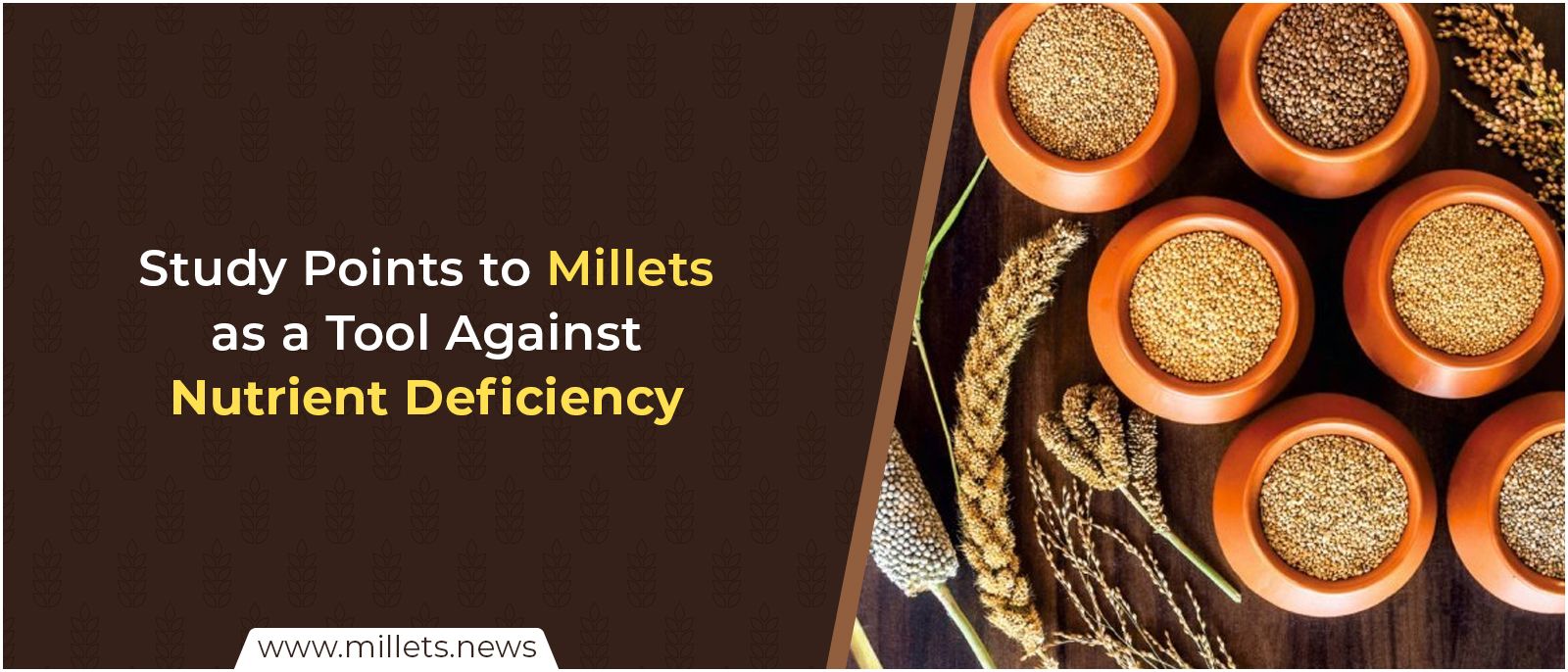 Study Points to Millets as a Tool Against Nutrient Deficiency