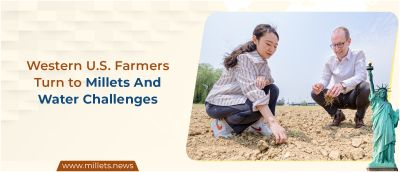 Western U.S. Farmers Turn to Millets Amid Water Challenges