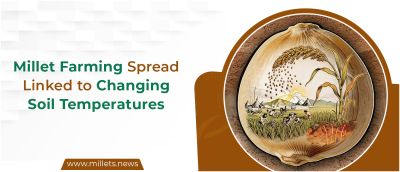 Millet Farming Spread Linked to Changing Soil Temperatures