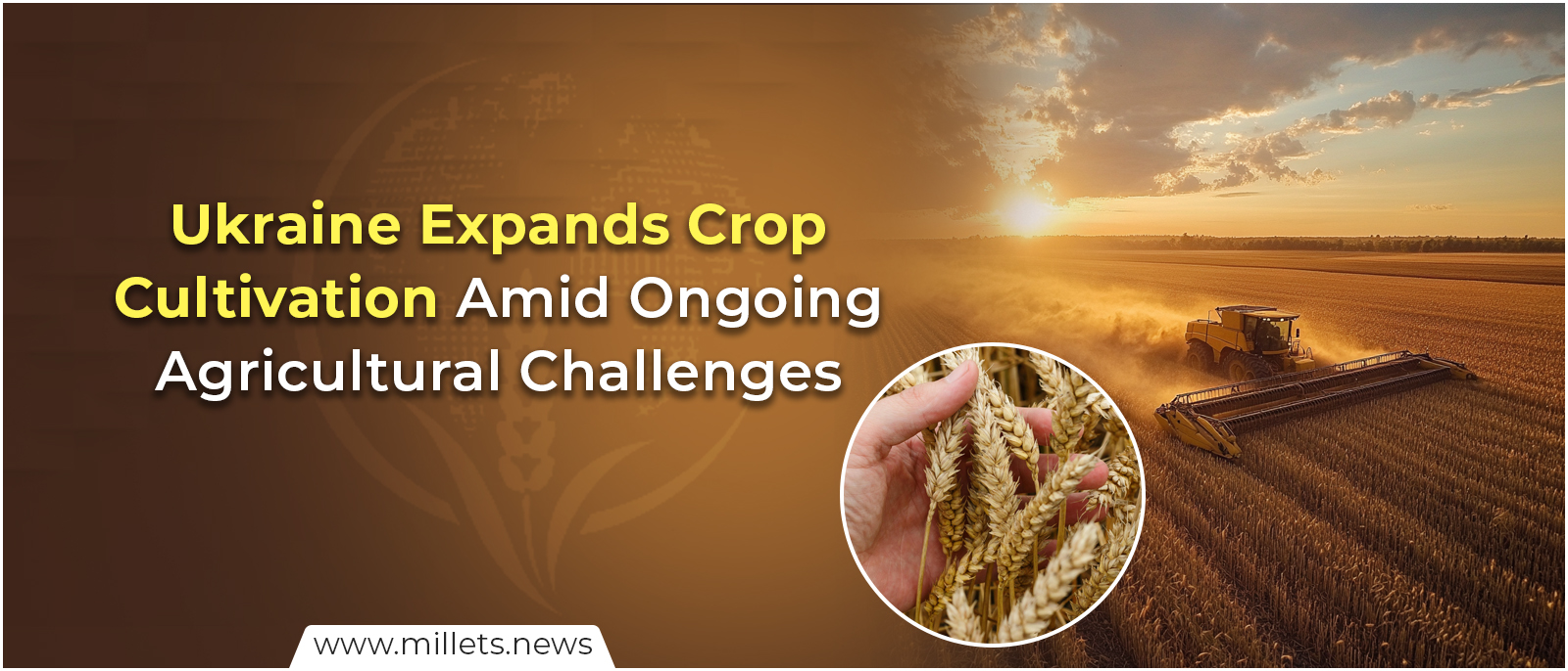Ukraine Expands Crop Cultivation Amid Ongoing Agricultural Challenges