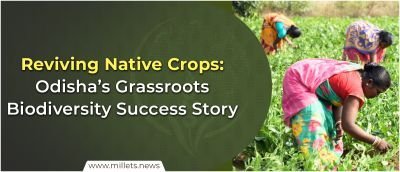 Reviving Native Crops: Odisha’s Grassroots Biodiversity Success Story