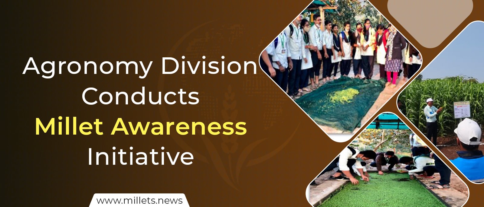 Agronomy Division Conducts Millet Awareness Initiative