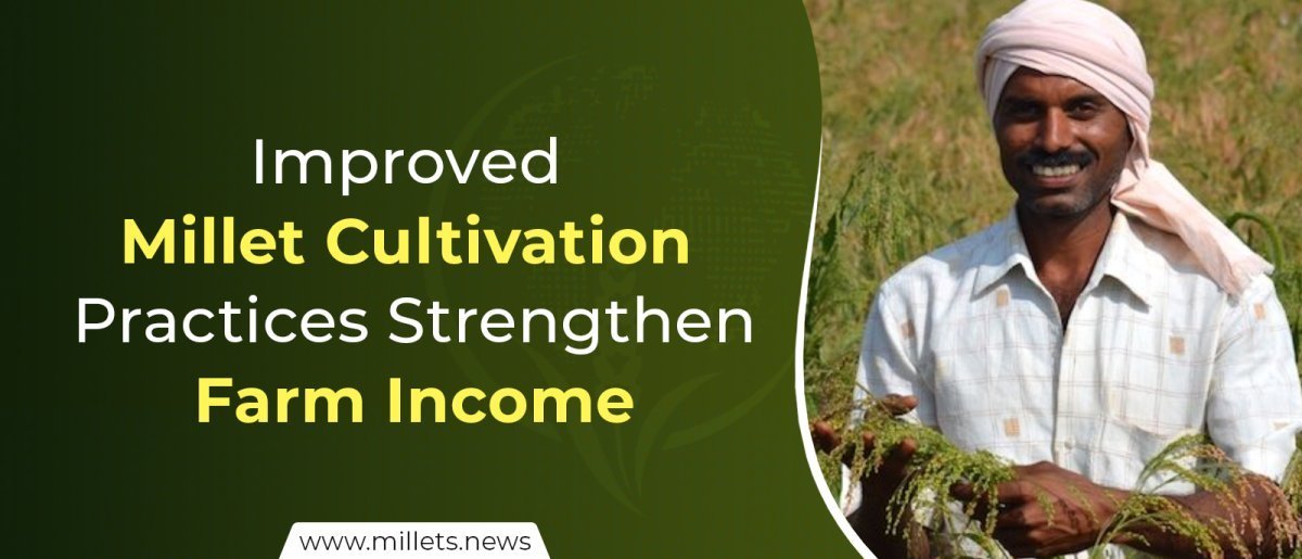 Improved Millet Cultivation Practices Strengthen Farm Income