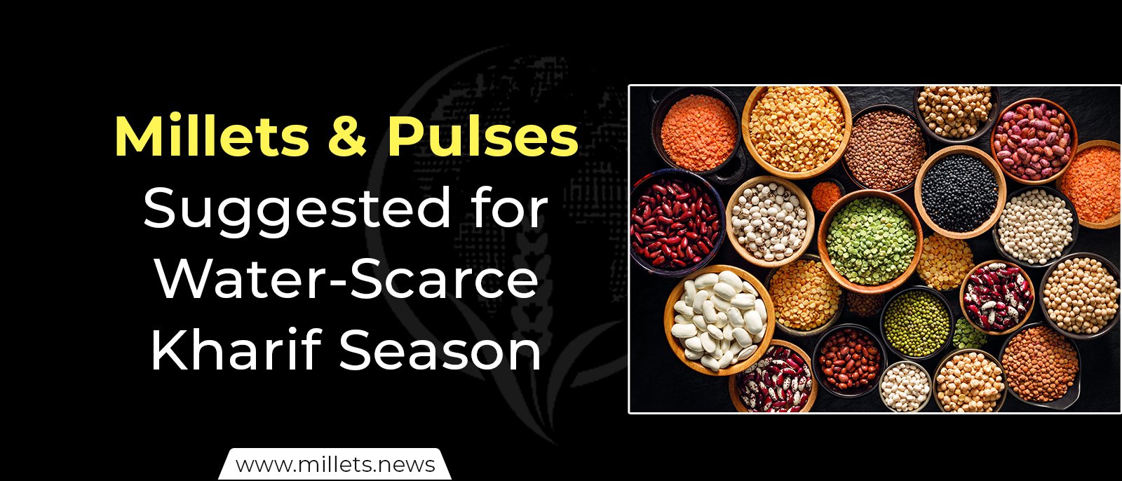Millets and Pulses Suggested for Water-Scarce Kharif Season