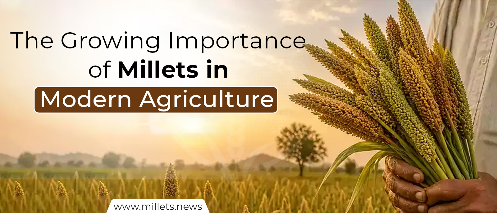 The Growing Importance of Millets in Modern Agriculture
