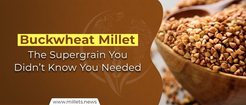 Buckwheat Millet: The Supergrain You Didn’t Know You Needed
