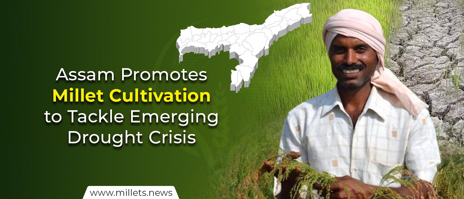 Assam Promotes Millet Cultivation to Tackle Emerging Drought Crisis