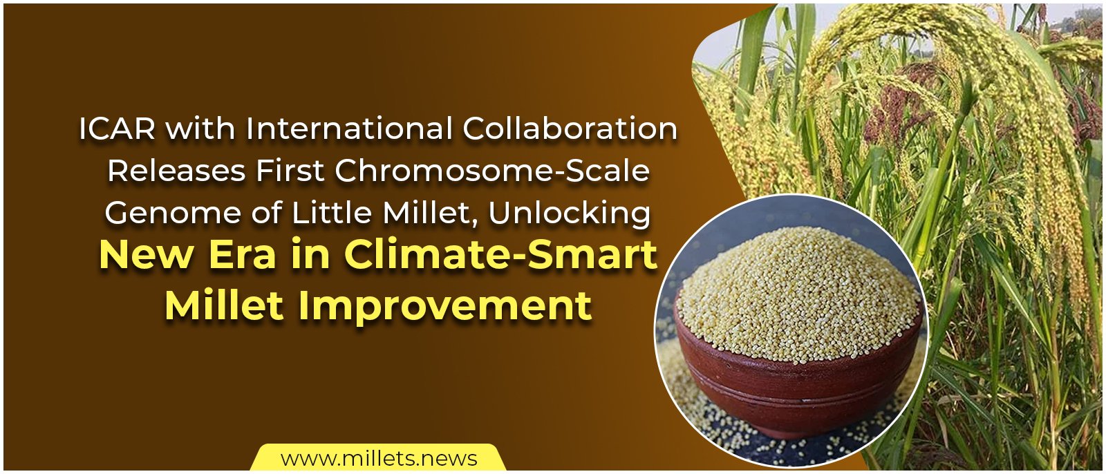 ICAR with International Collaboration Releases First Chromosome-Scale Genome of Little Millet, Unlocking New Era in Climate-Smart Millet Improvement