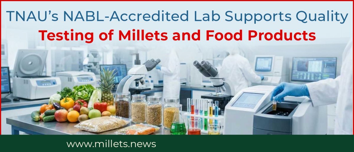 TNAU’s NABL-Accredited Lab Supports Quality Testing of Millets and Food Products