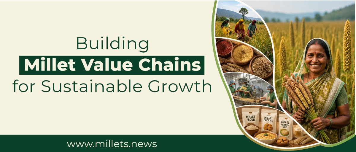 Building Millet Value Chains for Sustainable Growth