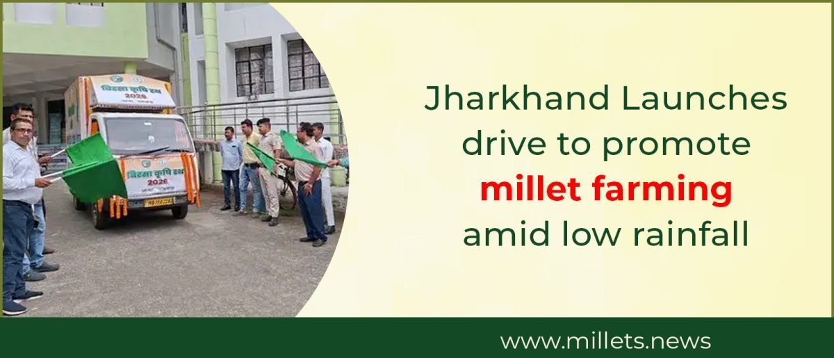 Jharkhand launches drive to promote millet farming amid low rainfall