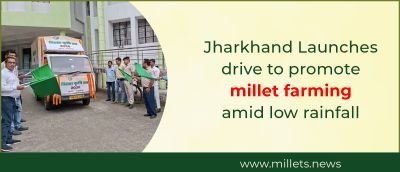 Jharkhand launches drive to promote millet farming amid low rainfall