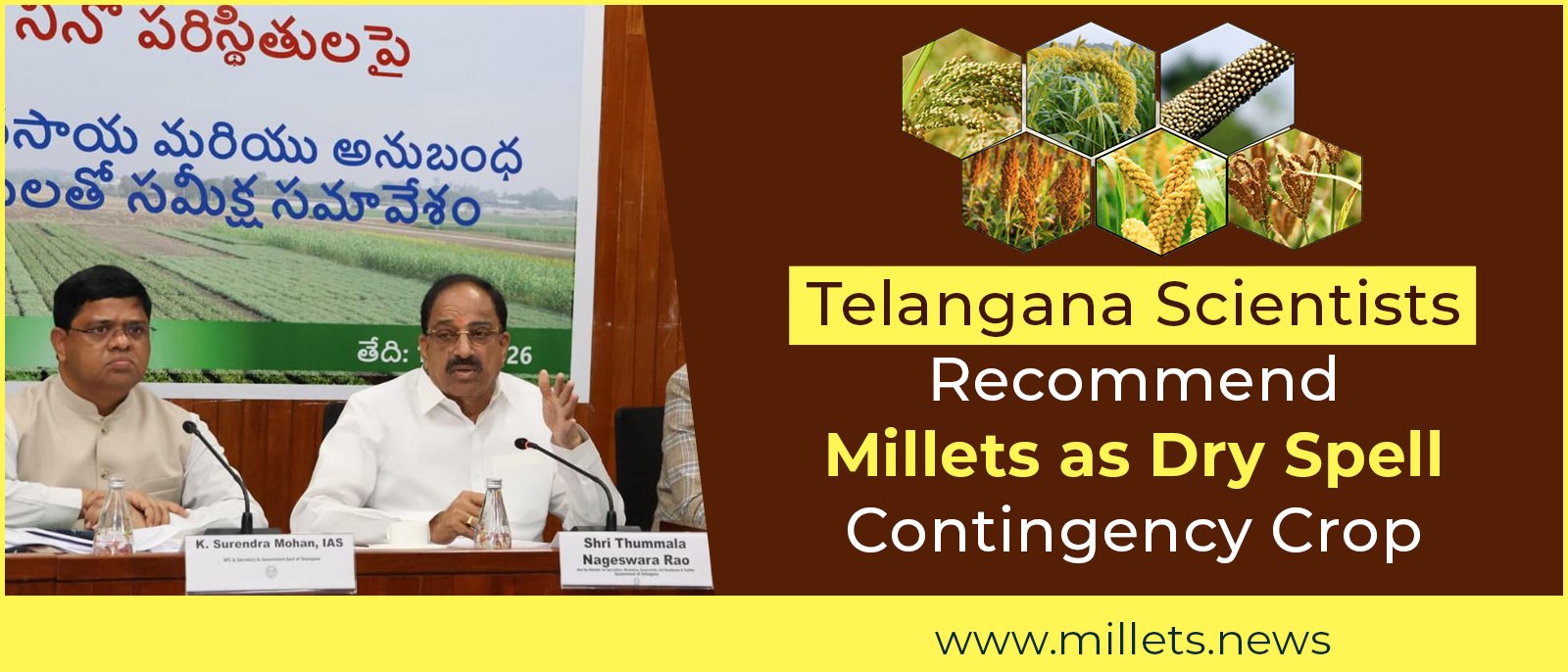 Telangana Scientists Recommend Millets as Dry Spell Contingency Crops