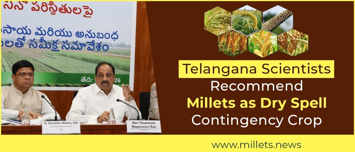 Telangana Scientists Recommend Millets as Dry Spell Contingency Crops