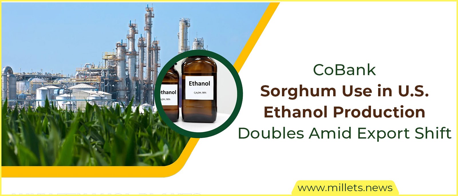 CoBank: Sorghum Use in U.S. Ethanol Production Doubles Amid Export Shift