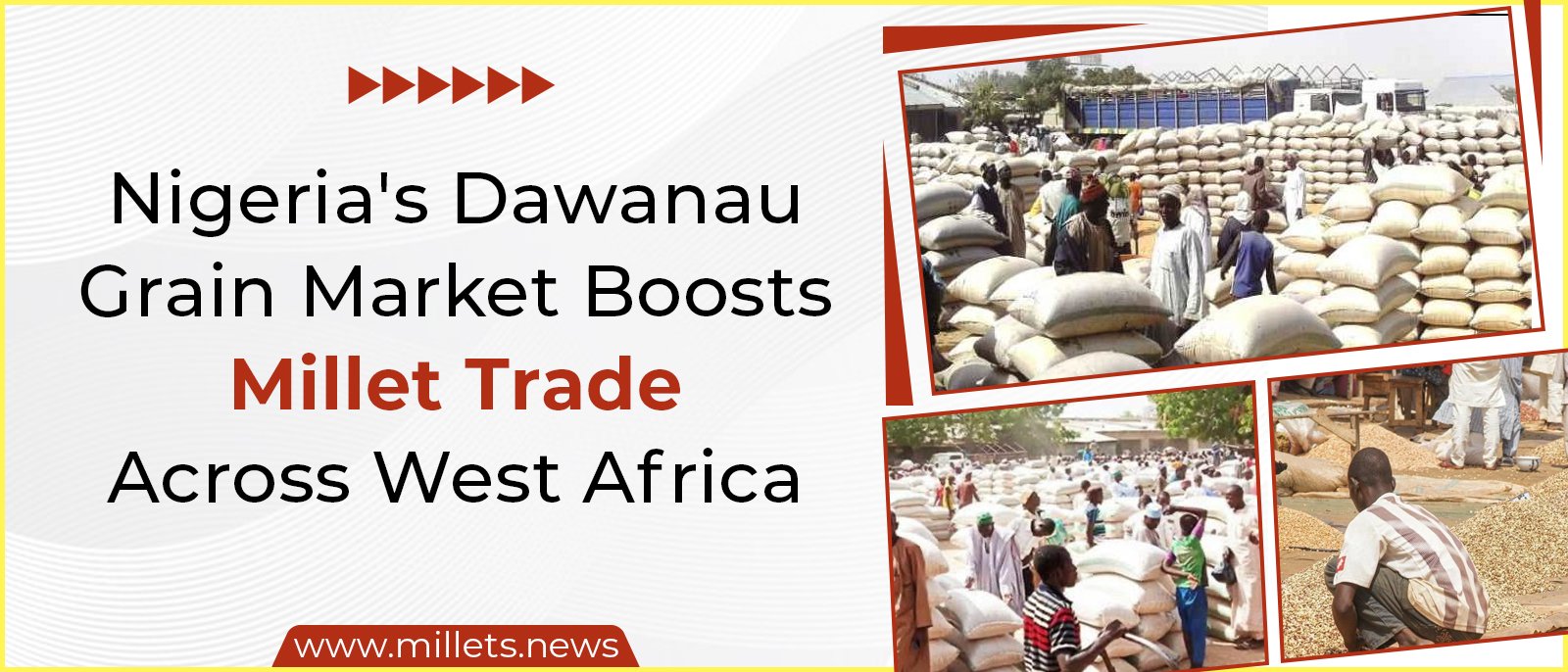 Nigeria's Dawanau Grain Market Boosts Millet Trade Across West Africa