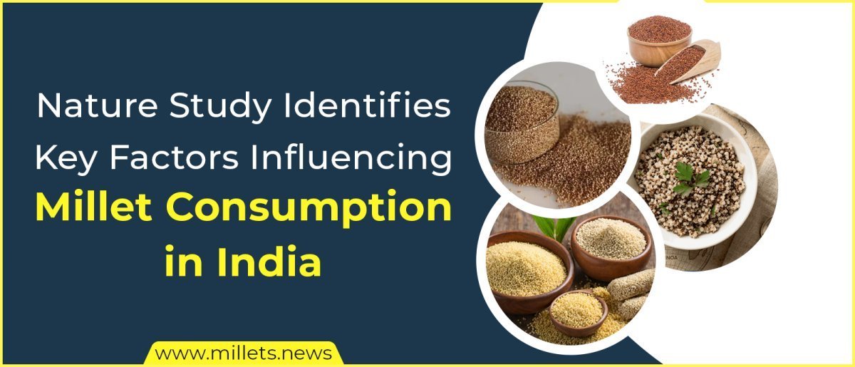 Nature Study Identifies Key Factors Influencing Millet Consumption in India