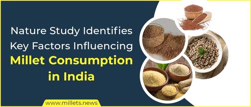 Nature Study Identifies Key Factors Influencing Millet Consumption in India