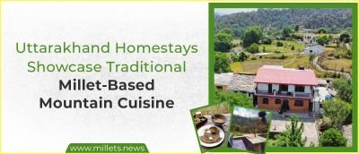 Uttarakhand Homestays Showcase Traditional Millet-Based Mountain Cuisine